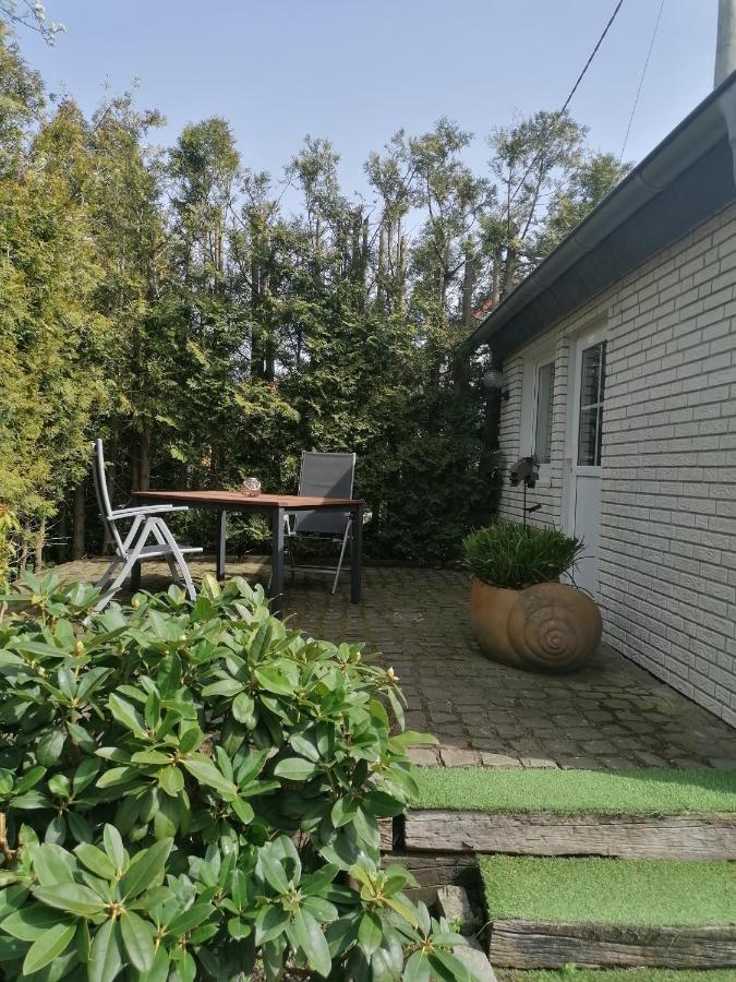 25Qm Grosses Ferienhaeuschen " Der Hengstall" Auf Unserem Reiterhof Birkenbeul Luaran gambar